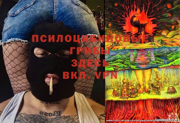 бошки Богородицк