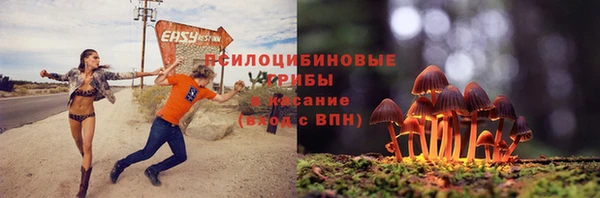 бошки Богородицк