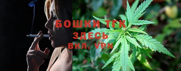 бошки Богородицк