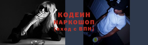 твердый Богданович