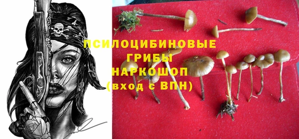 твердый Богданович