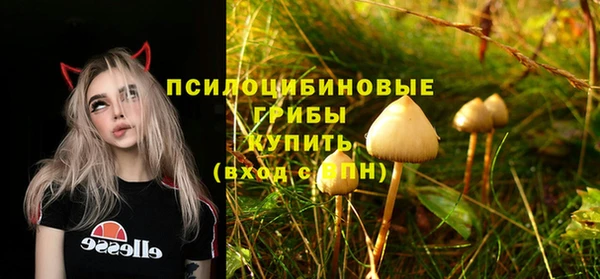 бошки Богородицк