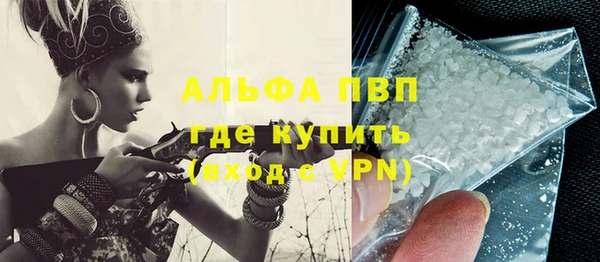 твердый Богданович