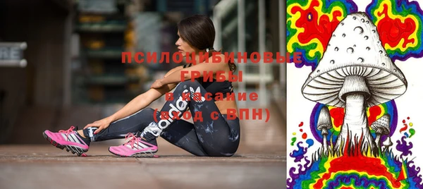 ГАЛЛЮЦИНОГЕННЫЕ ГРИБЫ Богородск