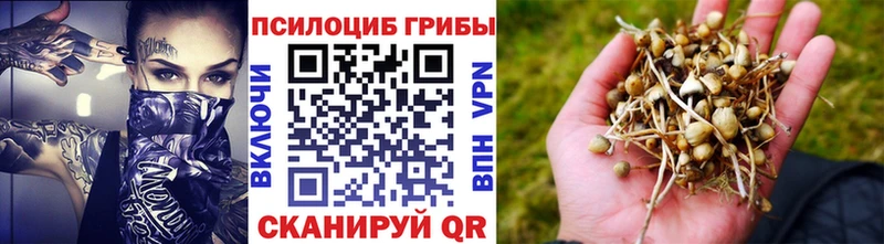 наркошоп kraken сайт Псилоцибиновые грибы Magic Shrooms Салават